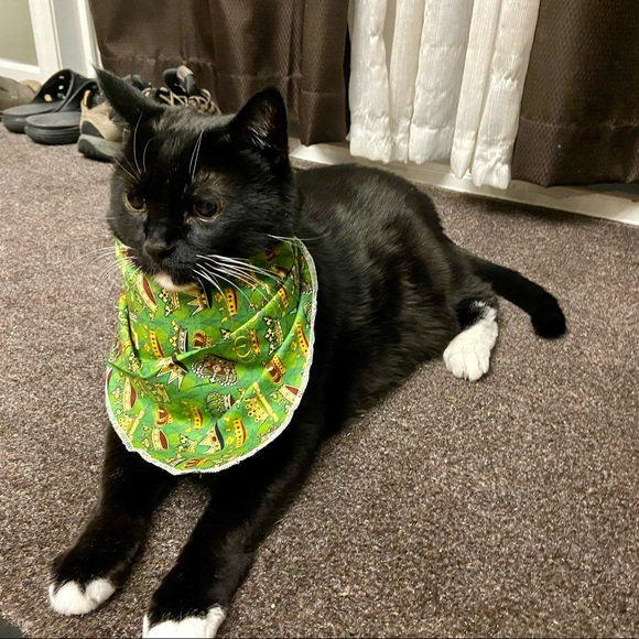 Handcrafted Handmade Hand Sewn Handkerchief and Ties for Small Dogs / Cats - Picture 7 of 7